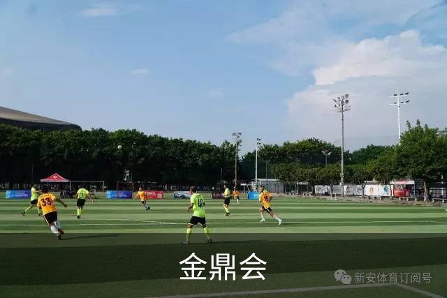 金鼎会公司介绍图片